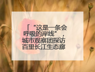 “这是一条会呼吸的岸线”，城市观察团探访百里长江生态廊道青山段