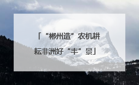 “郴州造”农机耕耘非洲好“丰”景