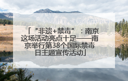 “非遗+禁毒”：南京这场活动亮点十足——南京举行第38个国际禁毒日主题宣传活动