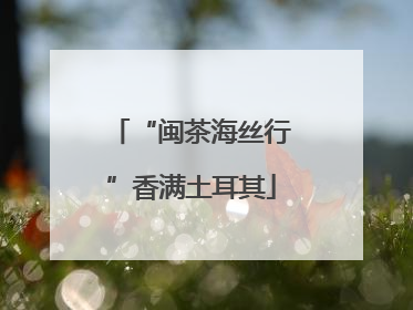 “闽茶海丝行”香满土耳其