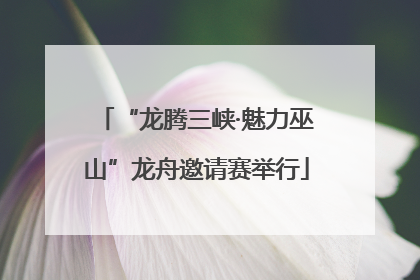 “龙腾三峡·魅力巫山”龙舟邀请赛举行
