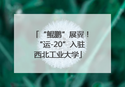 “鲲鹏”展翼！“运-20”入驻西北工业大学