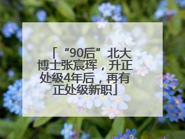 “90后”北大博士张宸珲，升正处级4年后，再有正处级新职