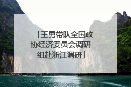 王勇带队全国政协经济委员会调研组赴浙江调研
