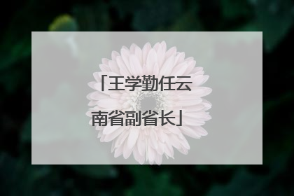 王学勤任云南省副省长