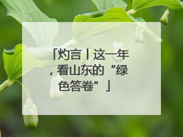 灼言丨这一年，看山东的“绿色答卷”