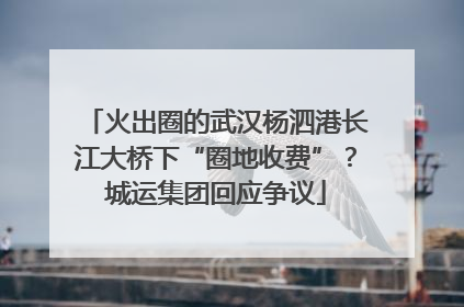 火出圈的武汉杨泗港长江大桥下“圈地收费”？城运集团回应争议