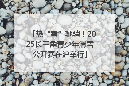 热“雪”驰骋！2025长三角青少年滑雪公开赛在沪举行