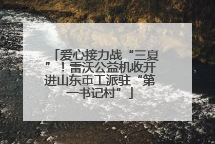 爱心接力战“三夏”！雷沃公益机收开进山东重工派驻“第一书记村”