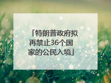 特朗普政府拟再禁止36个国家的公民入境