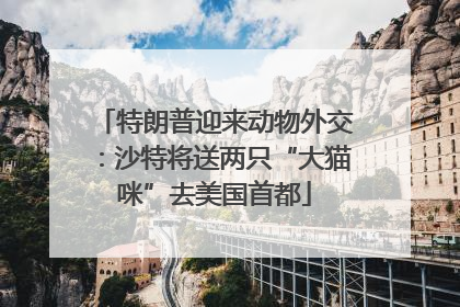特朗普迎来动物外交：沙特将送两只“大猫咪”去美国首都
