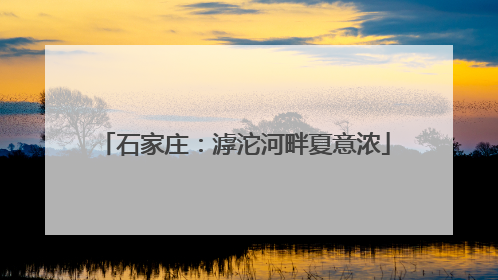 石家庄：滹沱河畔夏意浓