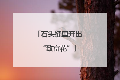 石头缝里开出“致富花”