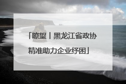 瞭望丨黑龙江省政协精准助力企业纾困