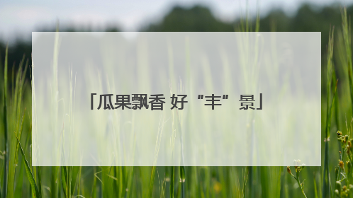 瓜果飘香 好“丰”景