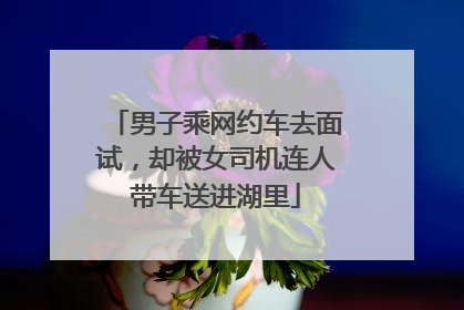 男子乘网约车去面试，却被女司机连人带车送进湖里