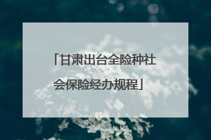 甘肃出台全险种社会保险经办规程