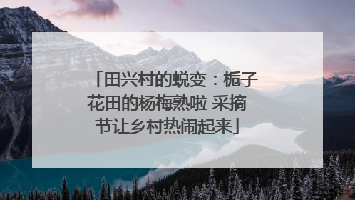 田兴村的蜕变：栀子花田的杨梅熟啦 采摘节让乡村热闹起来