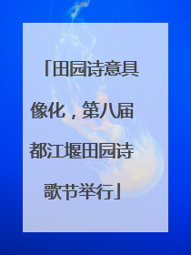 田园诗意具像化，第八届都江堰田园诗歌节举行