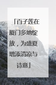 百子莲在厦门多地绽放，为盛夏增添清凉与诗意