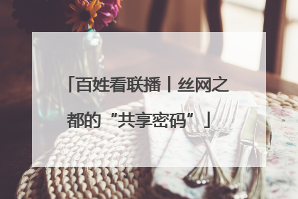 百姓看联播丨丝网之都的“共享密码”