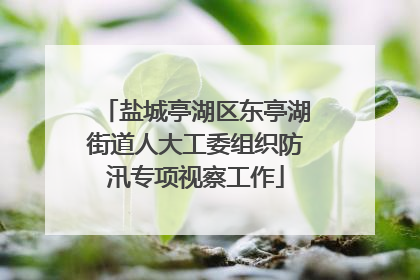 盐城亭湖区东亭湖街道人大工委组织防汛专项视察工作