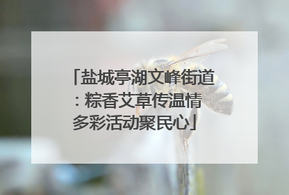 盐城亭湖文峰街道：粽香艾草传温情 多彩活动聚民心