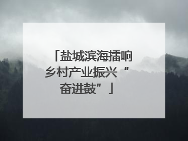 盐城滨海擂响乡村产业振兴“奋进鼓”