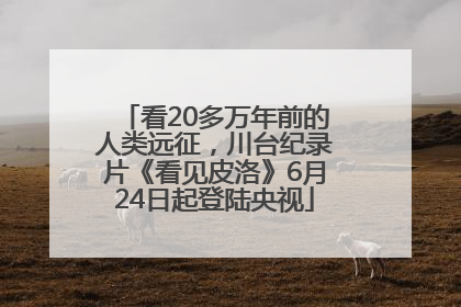 看20多万年前的人类远征，川台纪录片《看见皮洛》6月24日起登陆央视