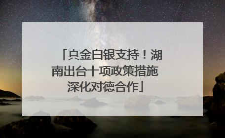 真金白银支持！湖南出台十项政策措施深化对德合作