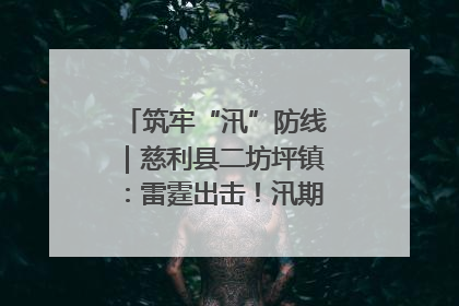 筑牢“汛”防线｜慈利县二坊坪镇：雷霆出击！汛期捕鱼被紧急叫停