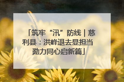 筑牢“汛”防线｜慈利县：洪峰退去显担当 勠力同心启新篇