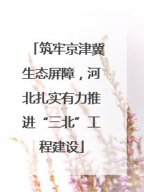 筑牢京津冀生态屏障，河北扎实有力推进“三北”工程建设