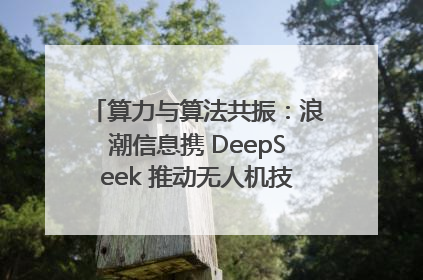 算力与算法共振：浪潮信息携 DeepSeek 推动无人机技术在舟山落地