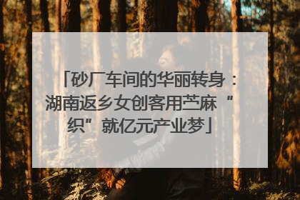 砂厂车间的华丽转身：湖南返乡女创客用苎麻“织”就亿元产业梦