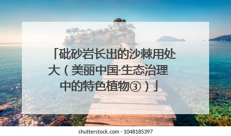 砒砂岩长出的沙棘用处大（美丽中国·生态治理中的特色植物③）