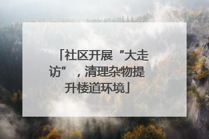 社区开展“大走访”，清理杂物提升楼道环境