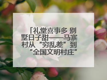 礼堂喜事多 别墅日子甜——马寨村从“穷乱差”到“全国文明村庄”的蝶变之路
