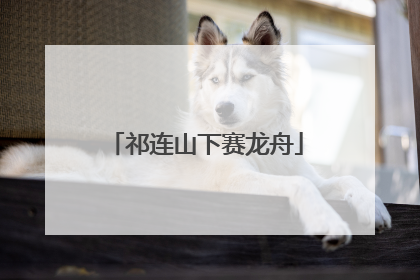 祁连山下赛龙舟