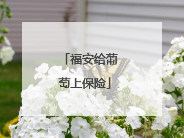 福安给葡萄上保险