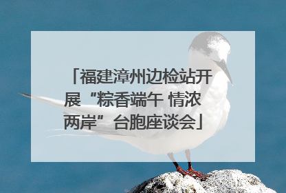 福建漳州边检站开展“粽香端午 情浓两岸”台胞座谈会