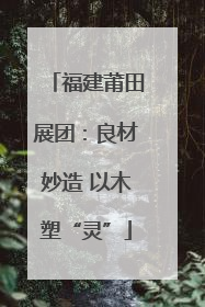 福建莆田展团：良材妙造 以木塑“灵”