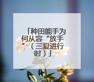 种田能手为何从容“放手”（三夏进行时）