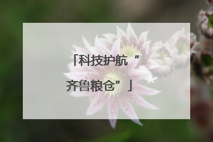 科技护航“齐鲁粮仓”