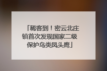 稀客到！密云北庄镇首次发现国家二级保护鸟类凤头鹰