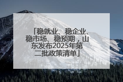 稳就业、稳企业、稳市场、稳预期，山东发布2025年第二批政策清单