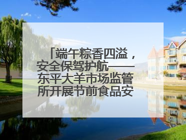 端午粽香四溢，安全保驾护航——东平大羊市场监管所开展节前食品安全专项检查