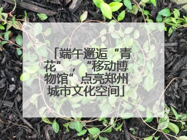 端午邂逅“青花”，“移动博物馆”点亮郑州城市文化空间