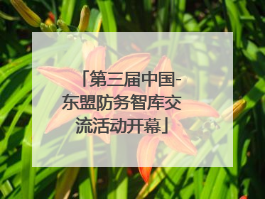 第三届中国-东盟防务智库交流活动开幕