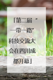 第二届“一带一路”科技交流大会在四川成都开幕